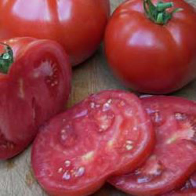 Picture of Seed Packet-Tomato-Beefsteak-Big Beef